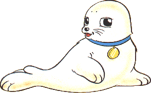 Bibifoc